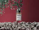 Inspired By Prada Paradox - Selene 19